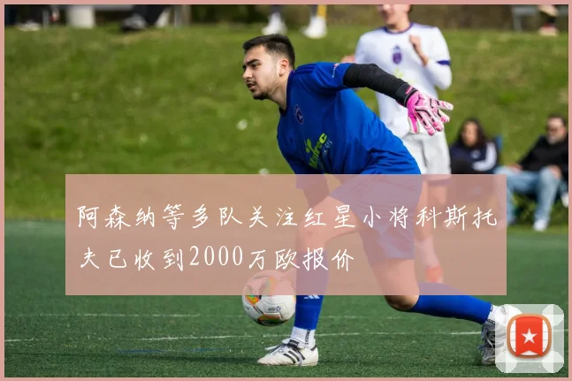 阿森纳等多队关注红星小将科斯托夫已收到2000万欧报价
