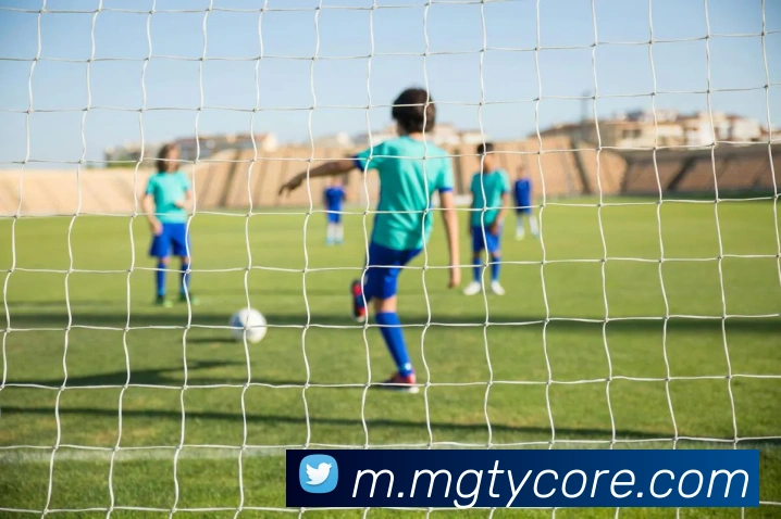 芒果体育平台生态图