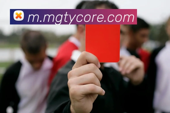 芒果体育APP 封面图